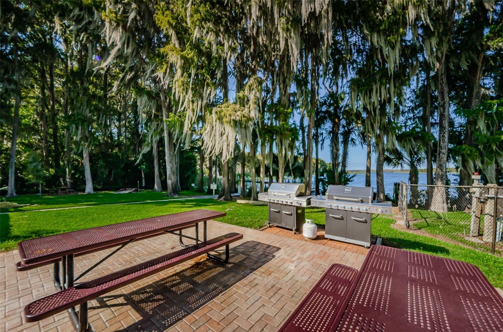 3097 MISSION GROVE DR, PALM HARBOR, FL — photo 63