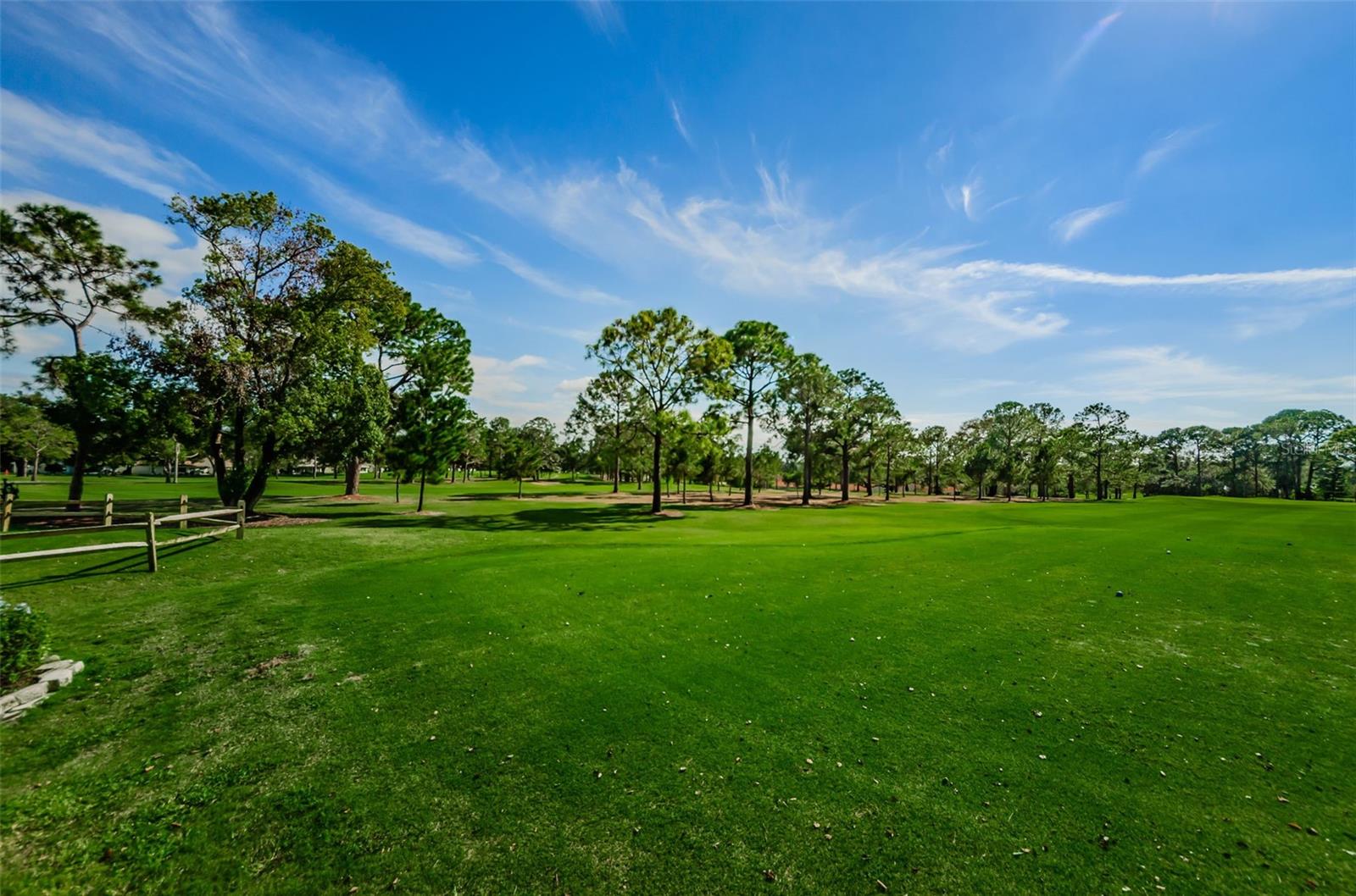 3097 MISSION GROVE DR, PALM HARBOR, FL — photo 75