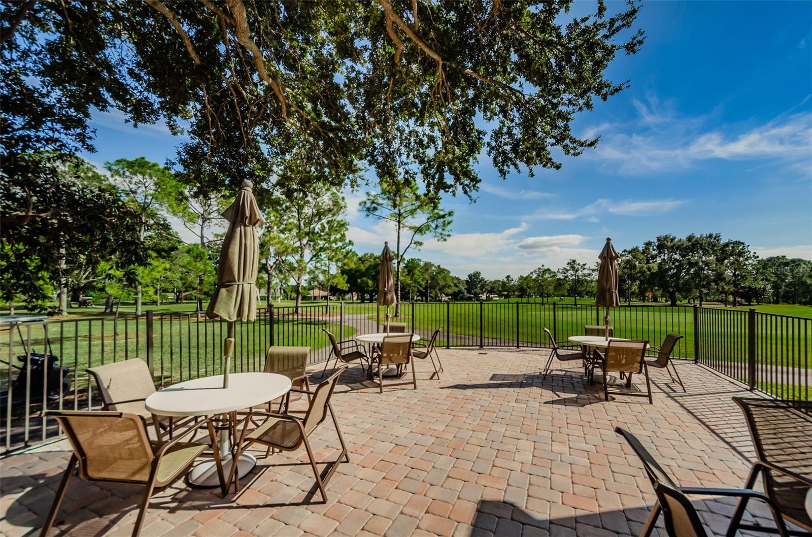 3097 MISSION GROVE DR, PALM HARBOR, FL — photo 81