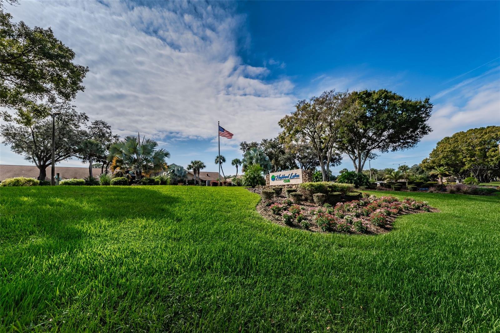 3097 MISSION GROVE DR, PALM HARBOR, FL — photo 83
