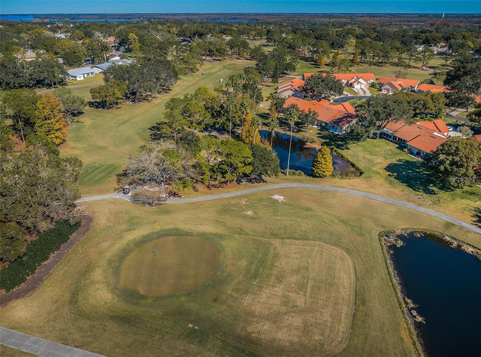 3097 MISSION GROVE DR, PALM HARBOR, FL — photo 85