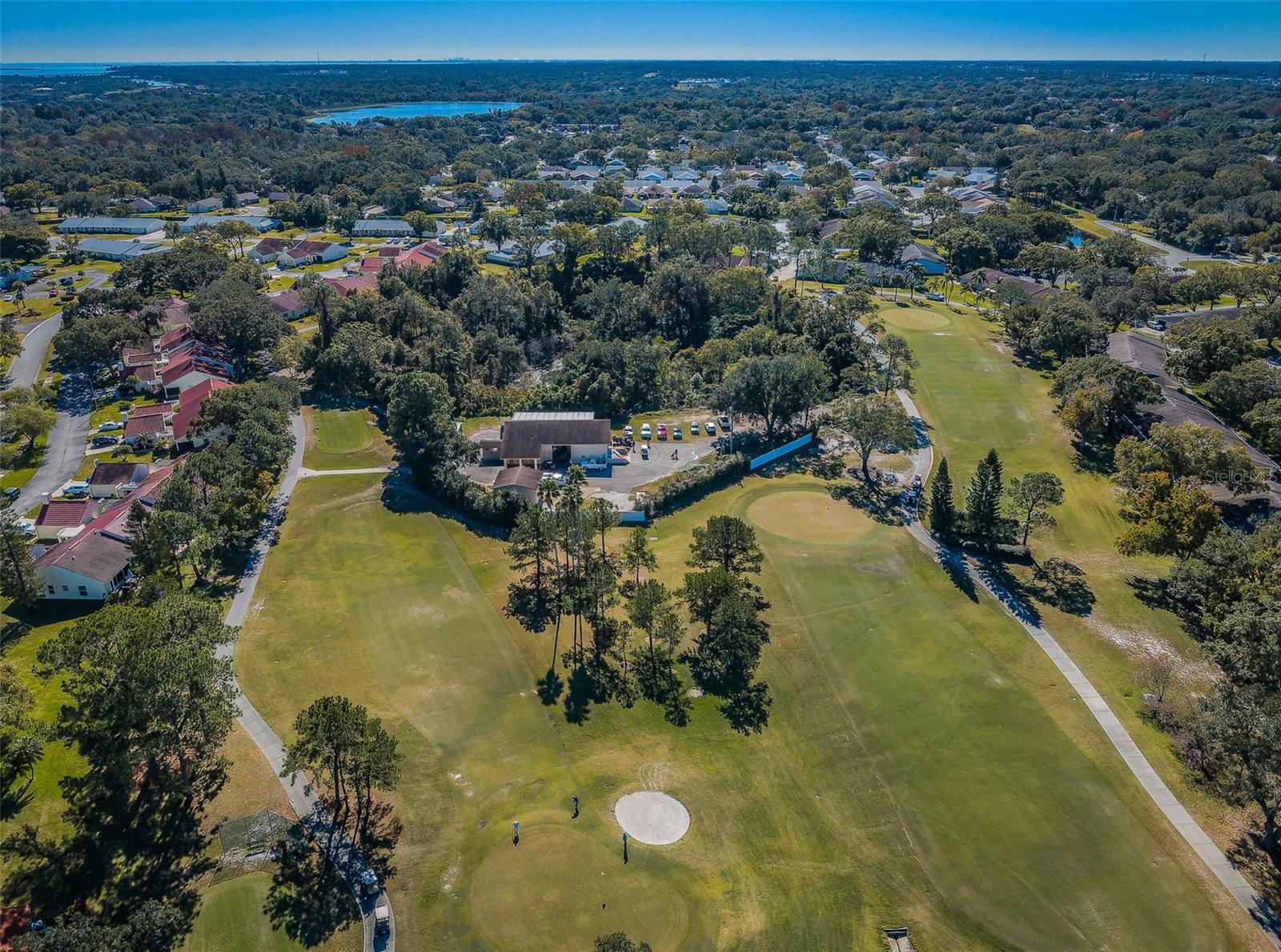 3097 MISSION GROVE DR, PALM HARBOR, FL — photo 87