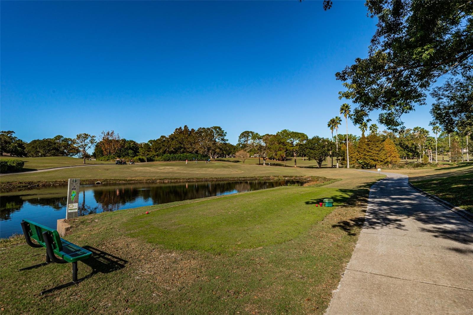3097 MISSION GROVE DR, PALM HARBOR, FL — photo 88