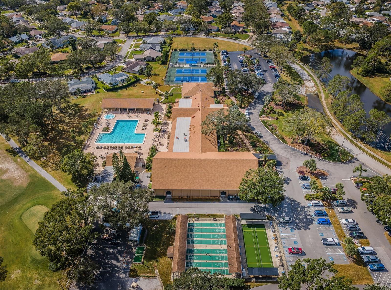 3097 MISSION GROVE DR, PALM HARBOR, FL — photo 90