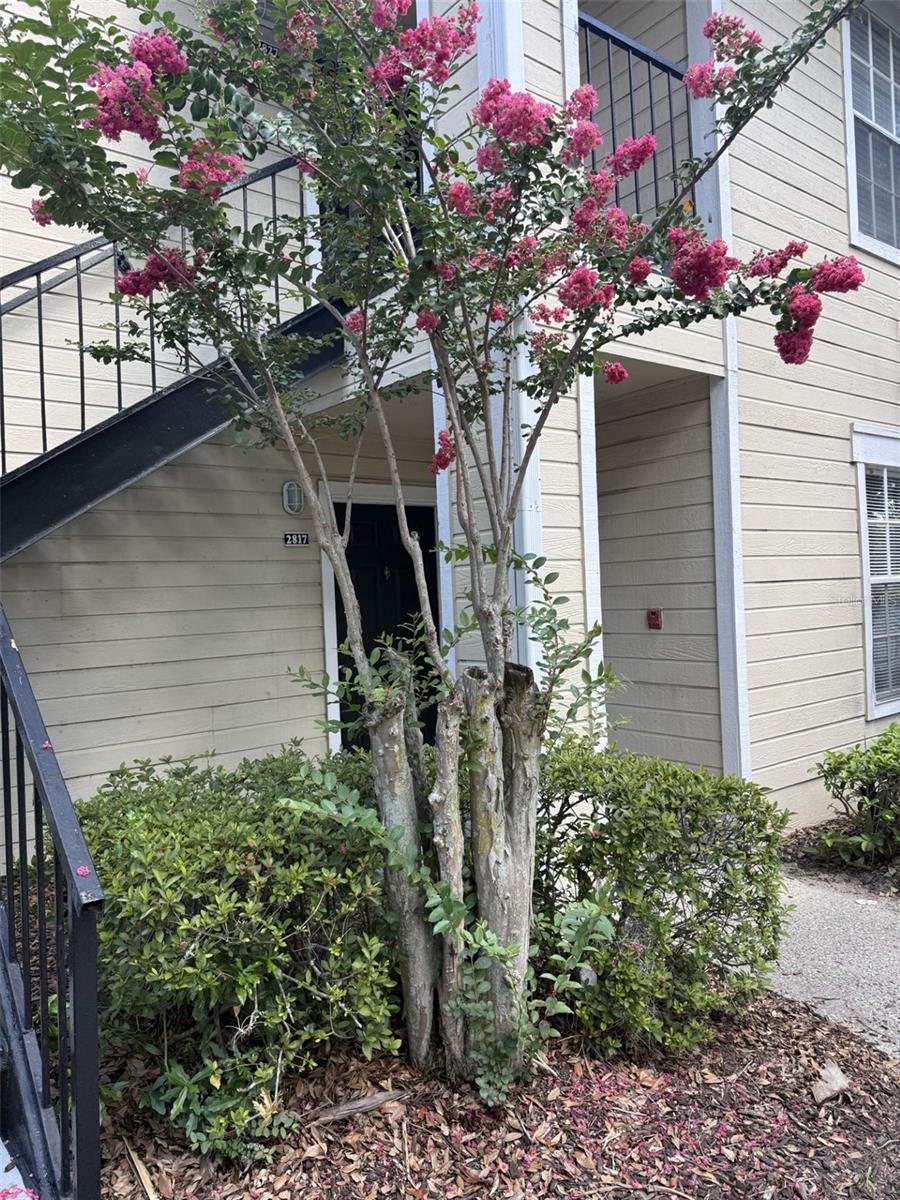 1037 S HIAWASSEE RD #2817, ORLANDO, FL — photo 3
