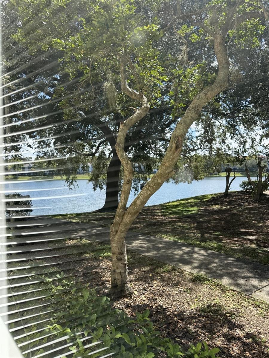 1037 S HIAWASSEE RD #2817, ORLANDO, FL — photo 17