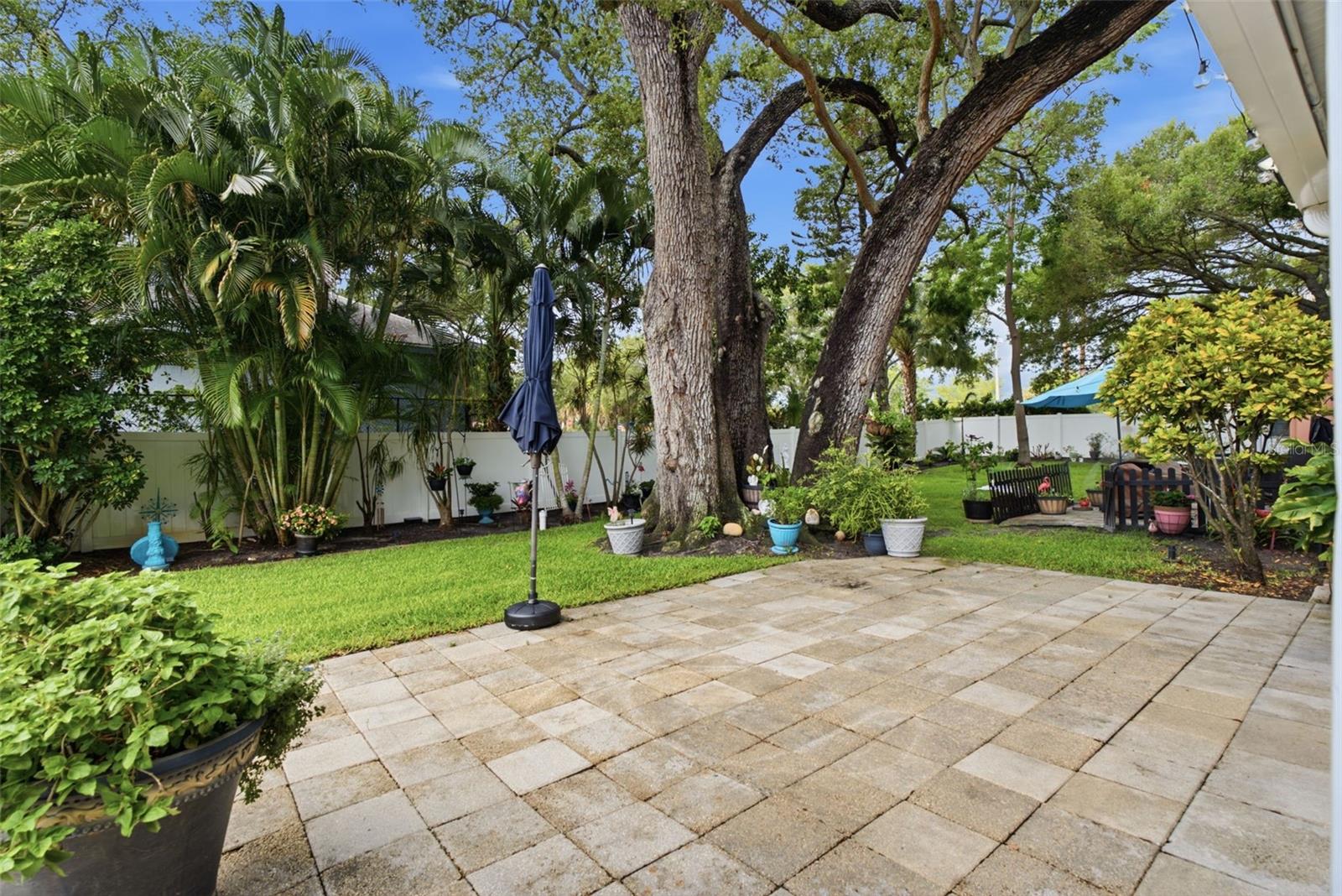 2250 DRUID RD E #603, CLEARWATER, FL — photo 25