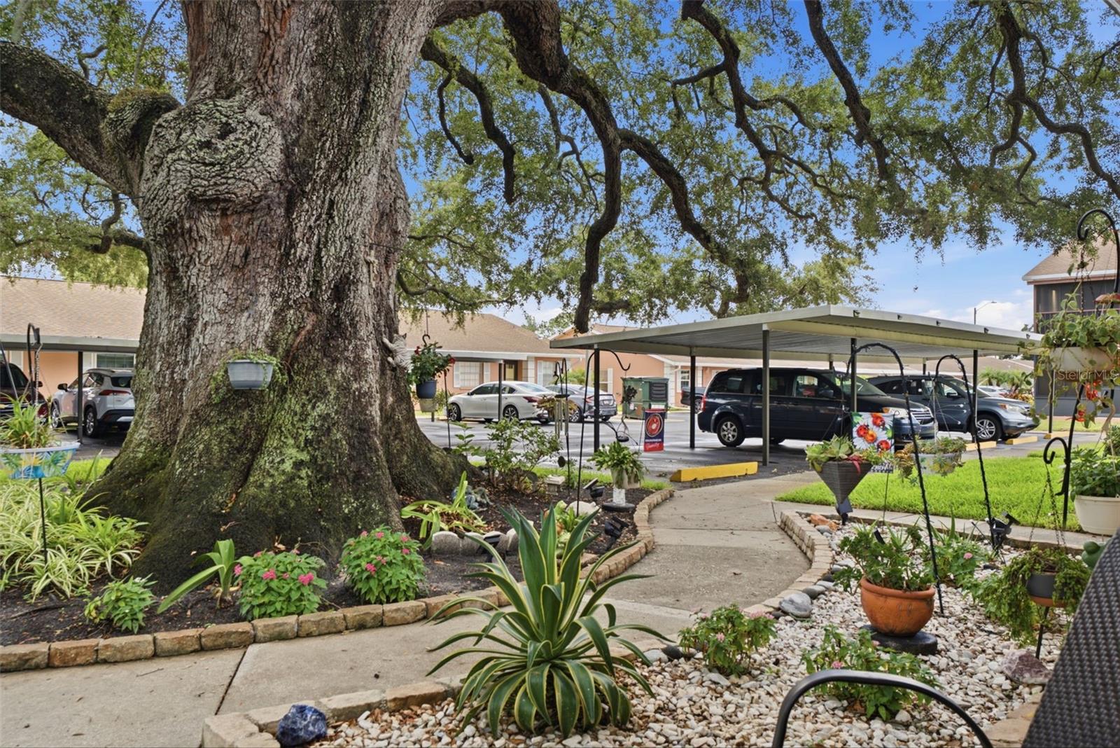 2250 DRUID RD E #603, CLEARWATER, FL — photo 33