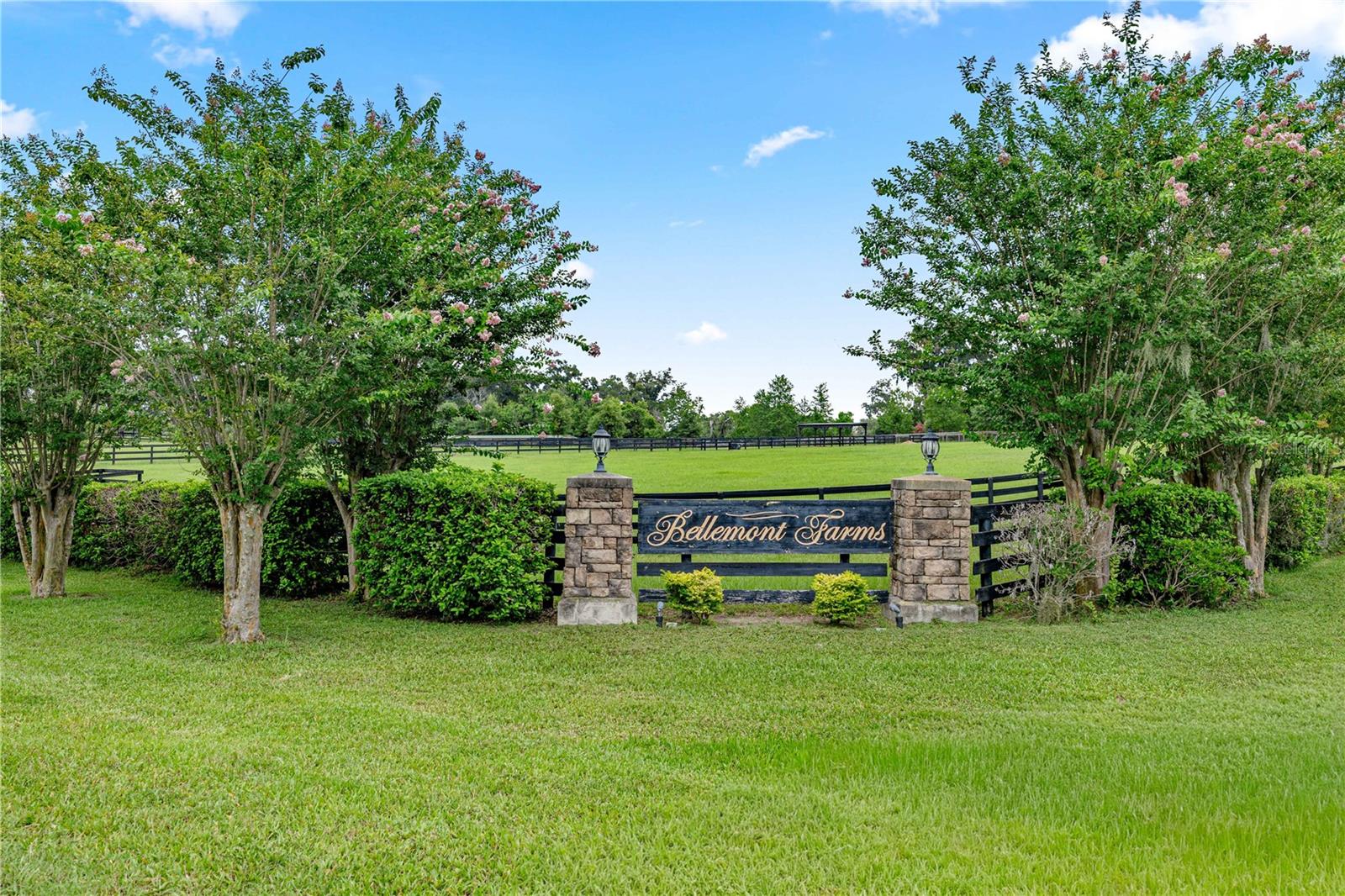15269 NE 15TH CT, CITRA, FL — photo 14