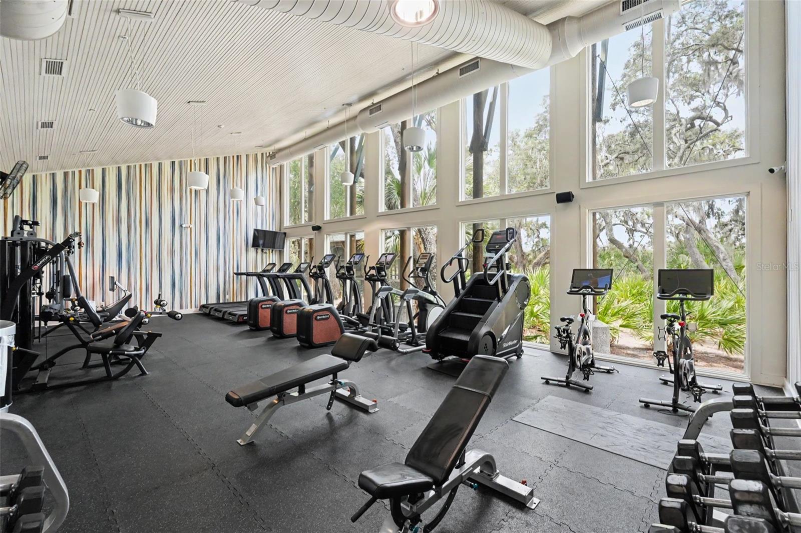 5724 CIRCA FISHHAWK BLVD, LITHIA, FL — photo 54