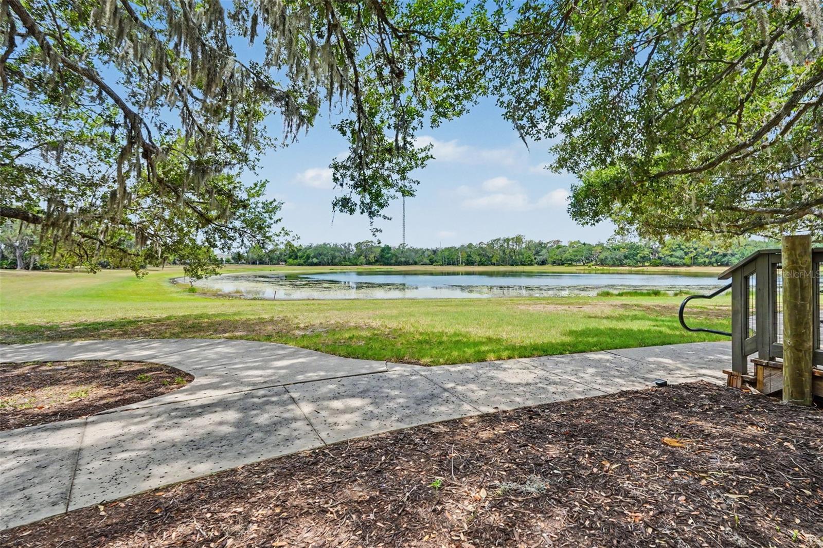 5724 CIRCA FISHHAWK BLVD, LITHIA, FL — photo 63