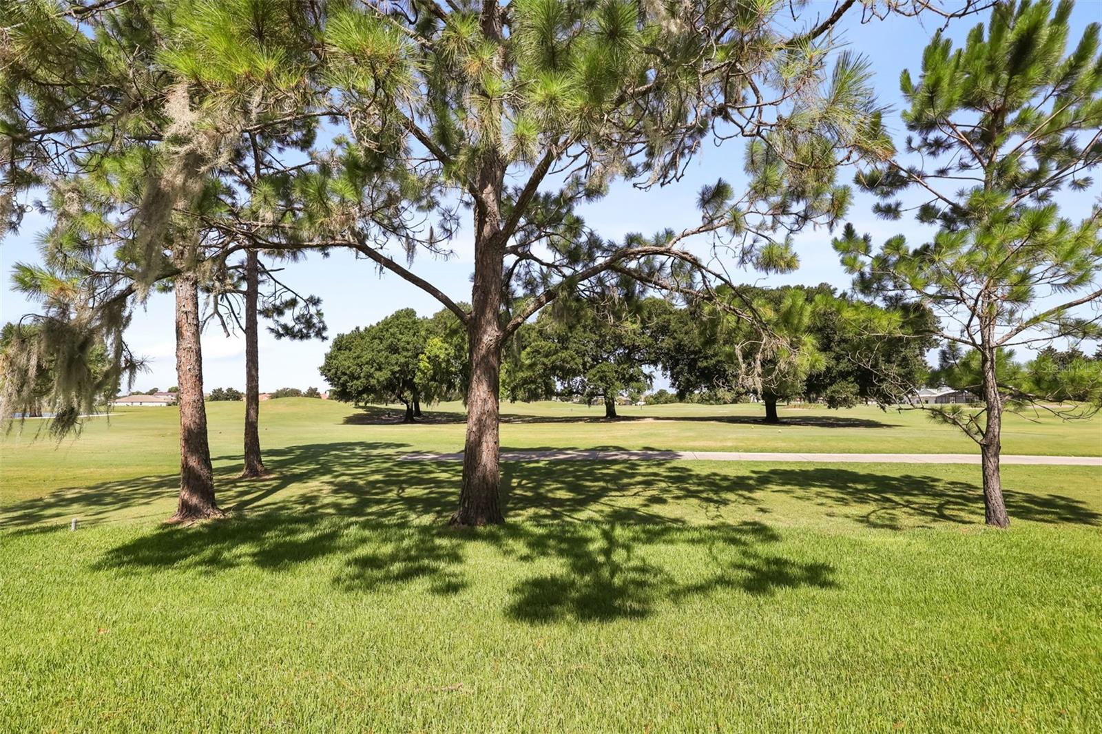 29925 CYPRESS POINTE, TAVARES, FL — photo 62