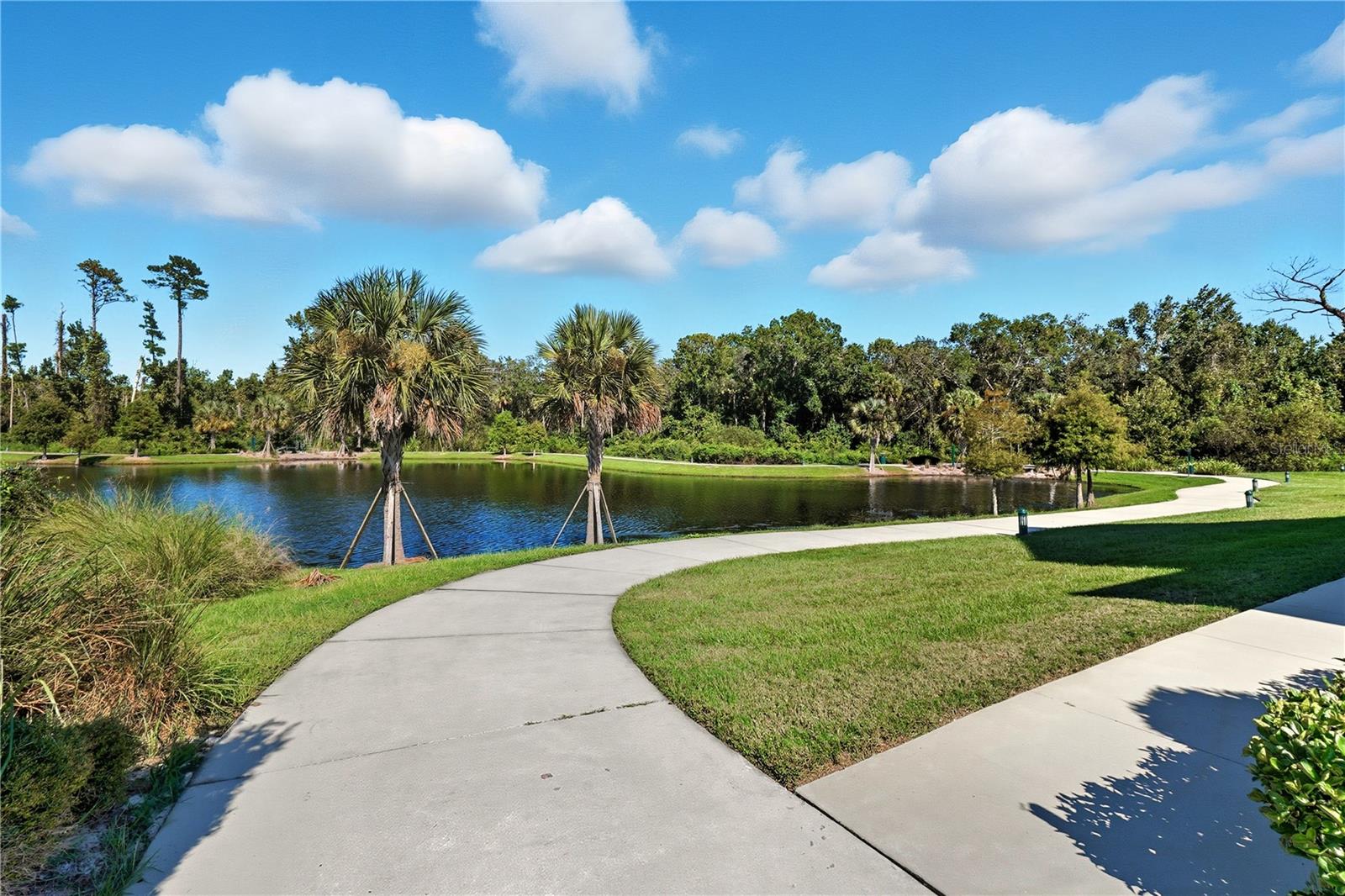 7565 ESTUARY LAKE LOOP, CELEBRATION, FL — photo 51