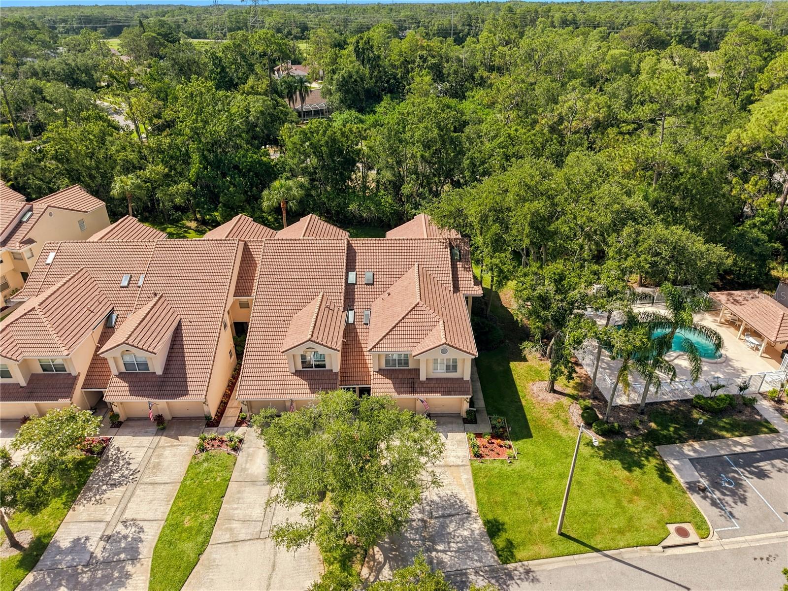 215 CLAYS TRL, OLDSMAR, FL — photo 2