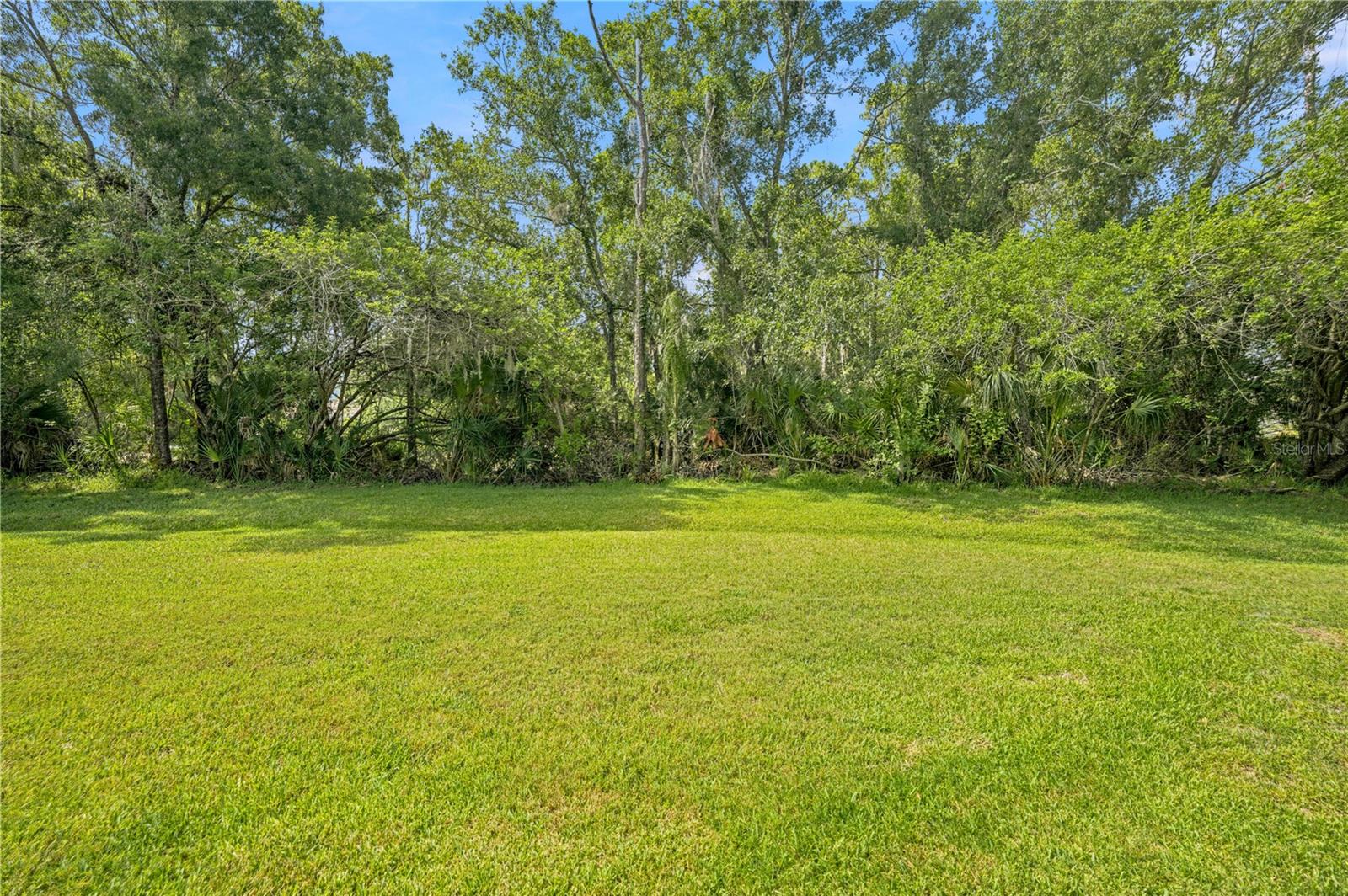215 CLAYS TRL, OLDSMAR, FL — photo 23