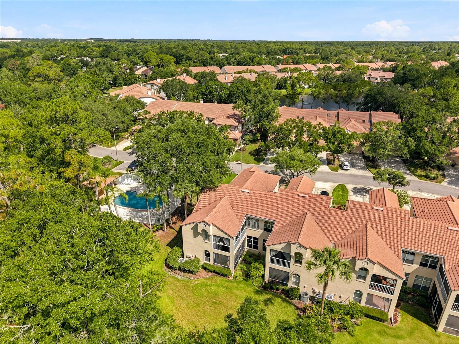 215 CLAYS TRL, OLDSMAR, FL — photo 24