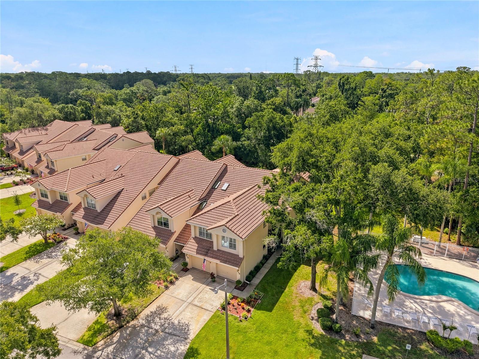 215 CLAYS TRL, OLDSMAR, FL — photo 25