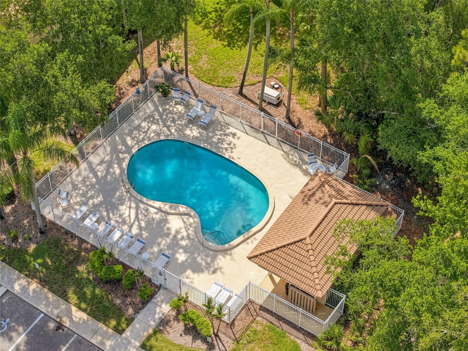 215 CLAYS TRL, OLDSMAR, FL — photo 26