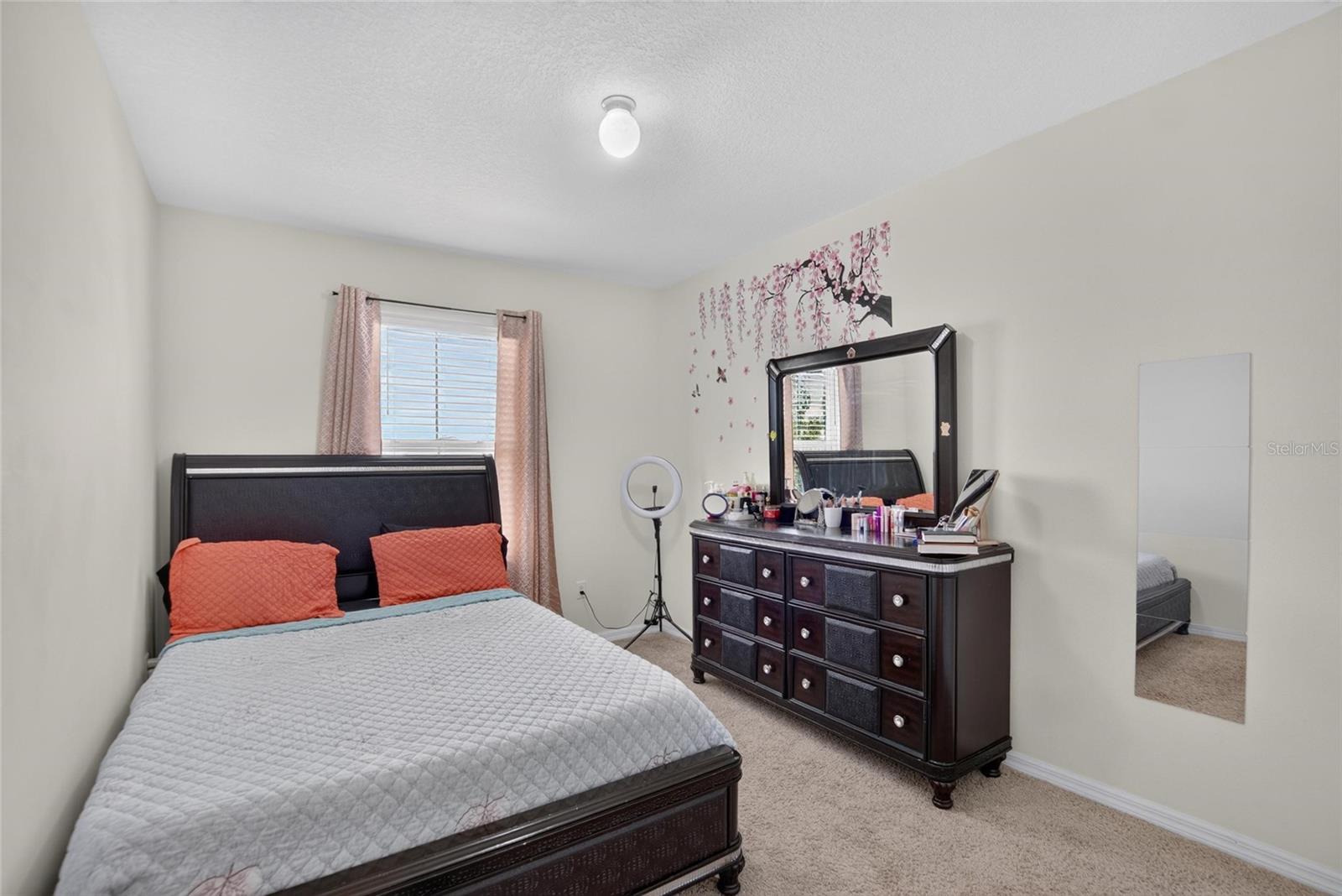 10231 GEESE TRAIL CIR, SUN CITY CENTER, FL — photo 26