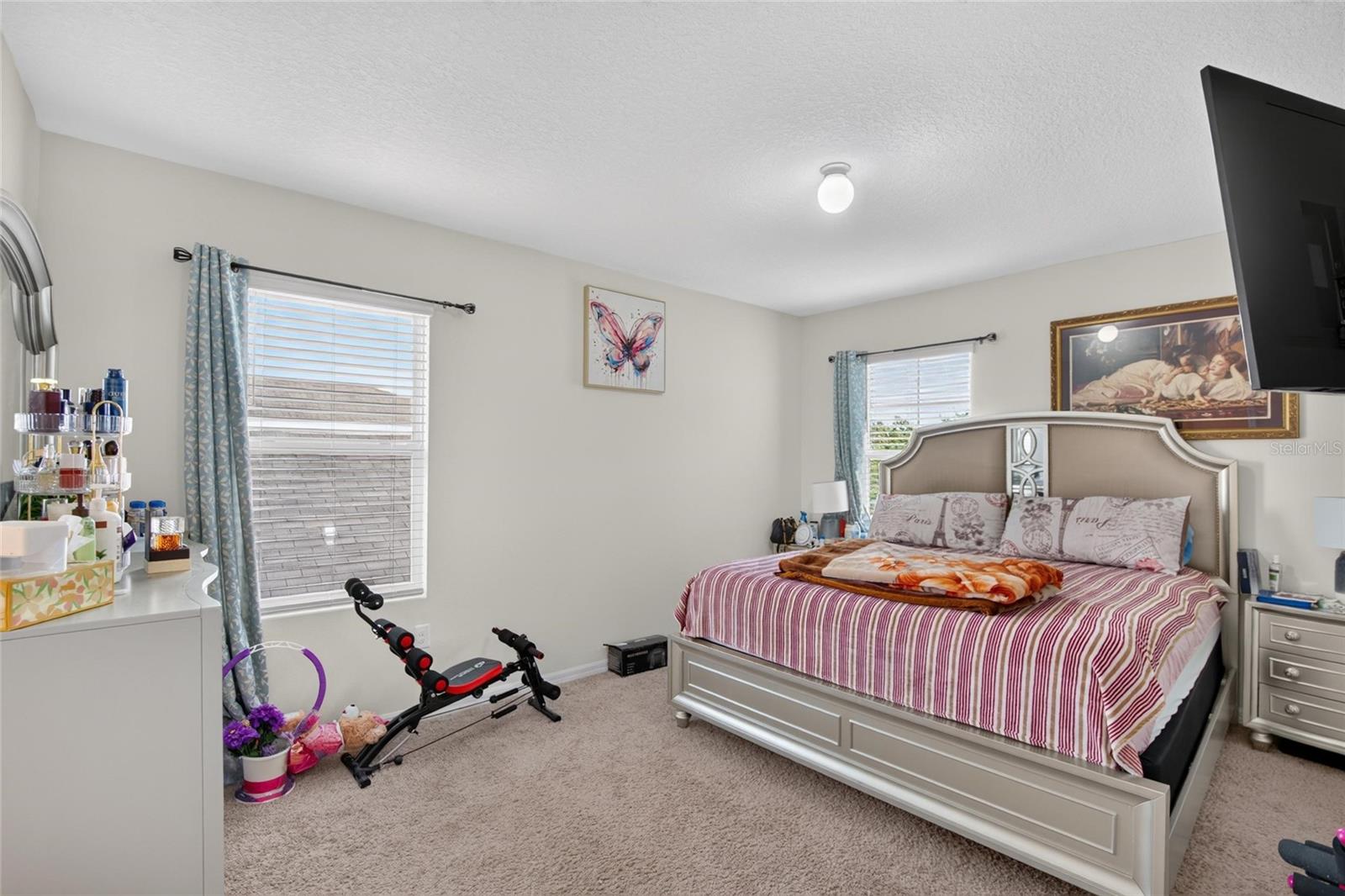 10231 GEESE TRAIL CIR, SUN CITY CENTER, FL — photo 33