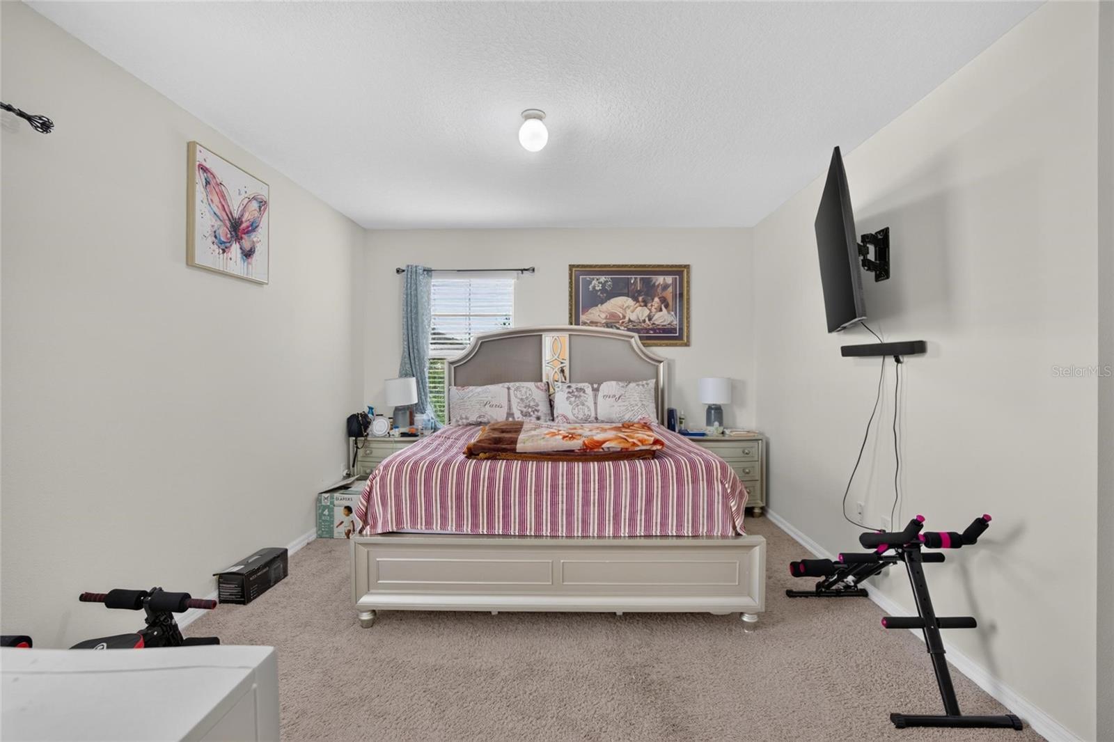 10231 GEESE TRAIL CIR, SUN CITY CENTER, FL — photo 34