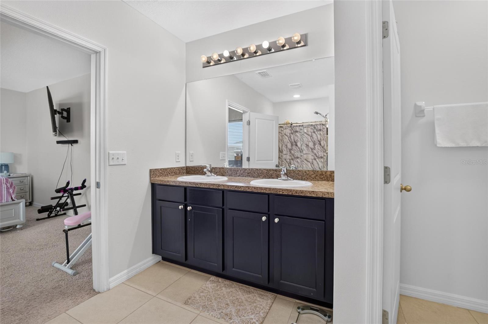 10231 GEESE TRAIL CIR, SUN CITY CENTER, FL — photo 38