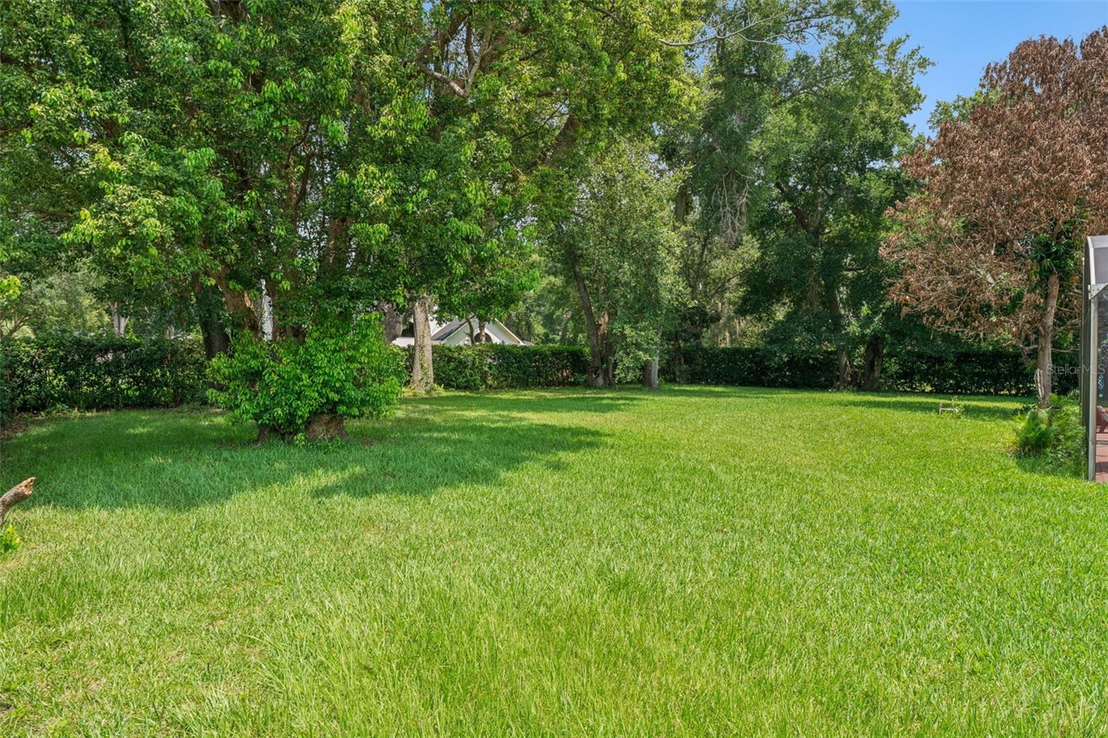 2512 TRYON PL, WINDERMERE, FL — photo 50