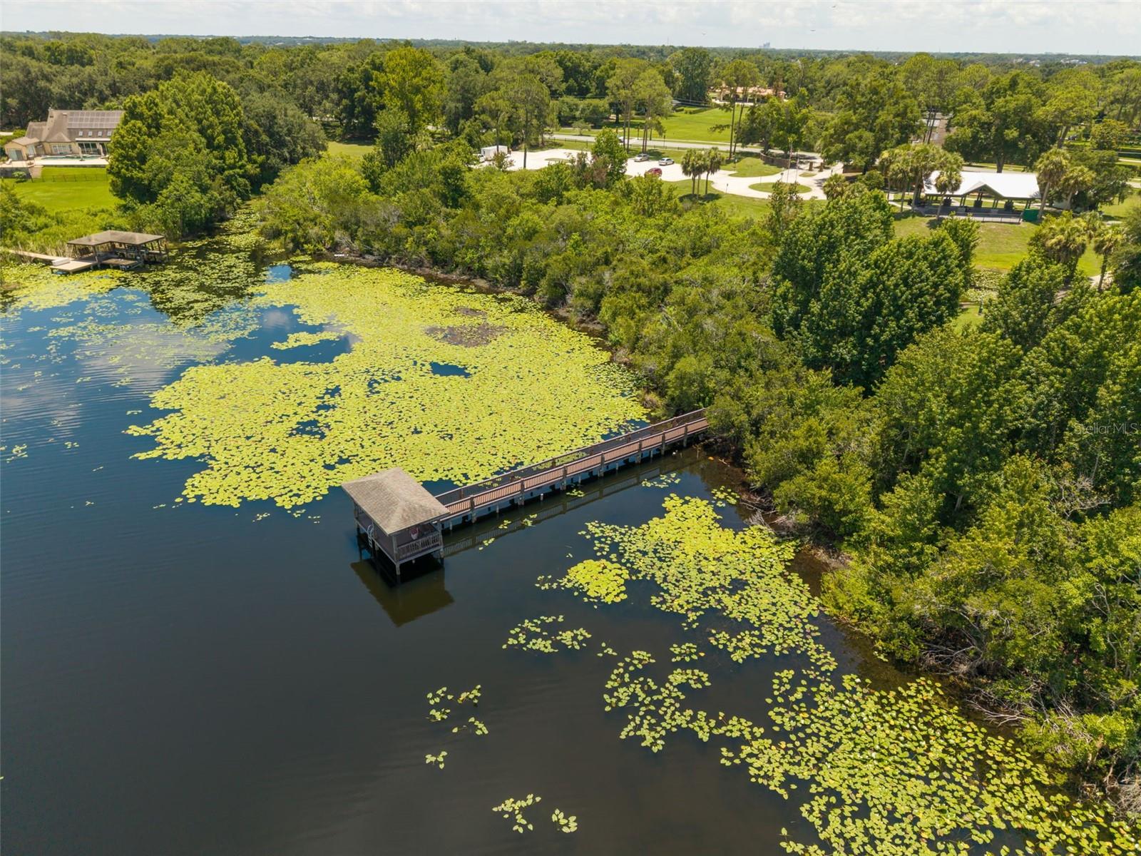 2512 TRYON PL, WINDERMERE, FL — photo 59