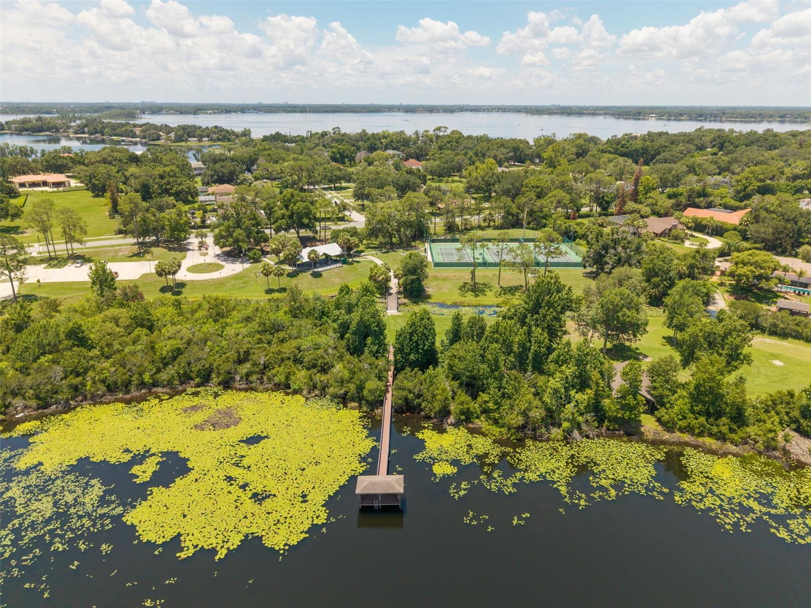 2512 TRYON PL, WINDERMERE, FL — photo 61
