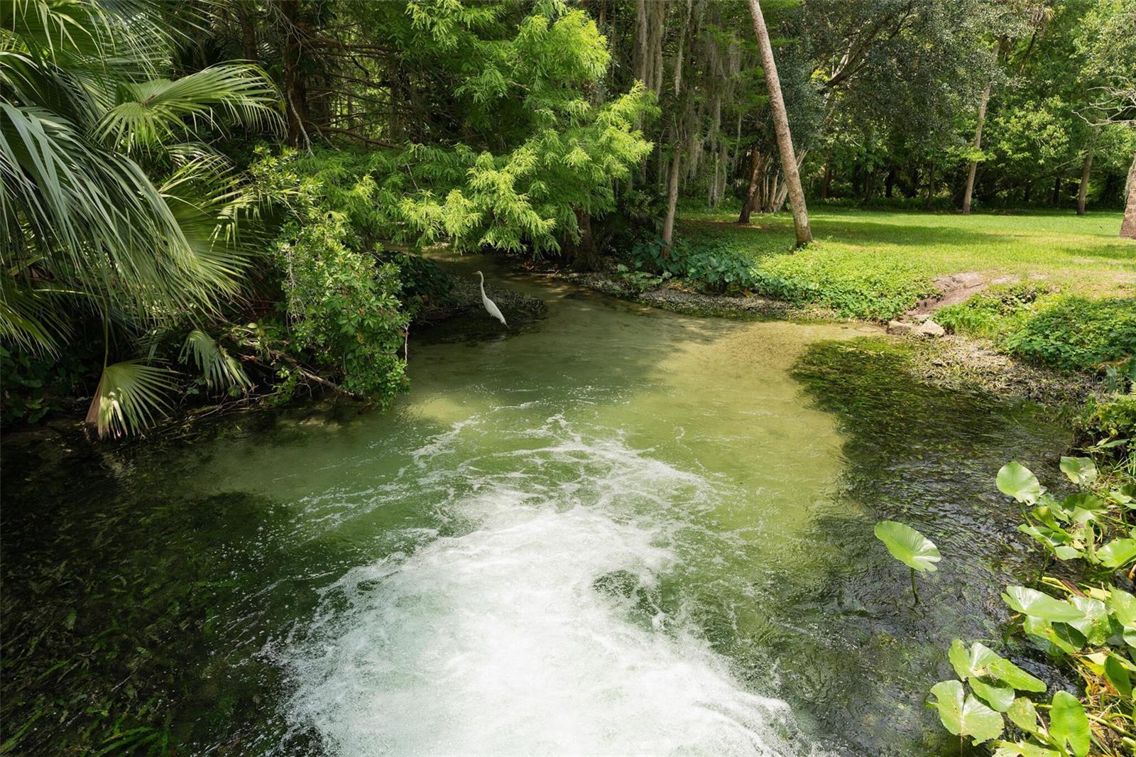 128 WOODMILL RD, LONGWOOD, FL — photo 36