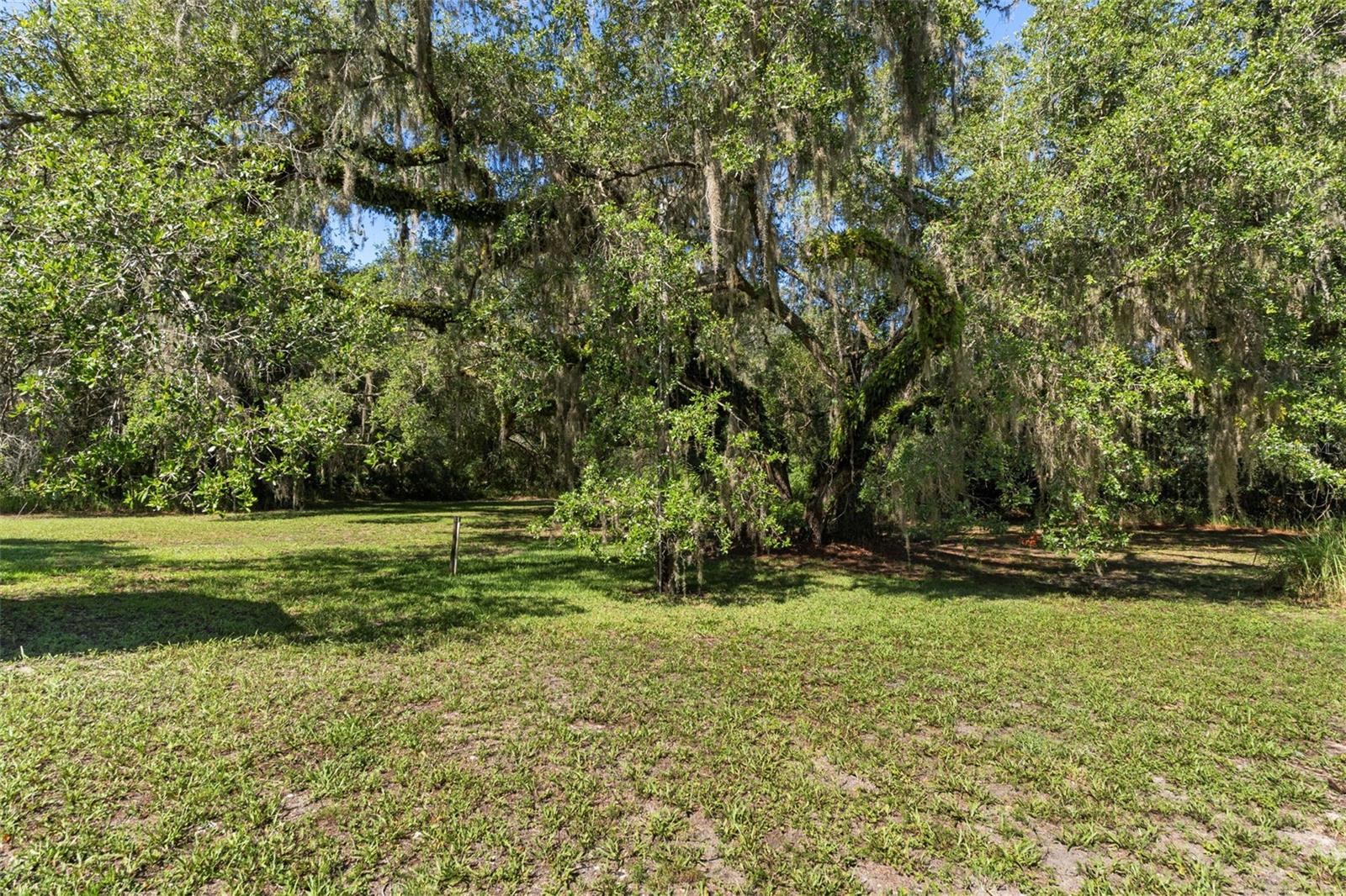 8668 N ELMTREE AVE, CRYSTAL RIVER, FL — photo 22