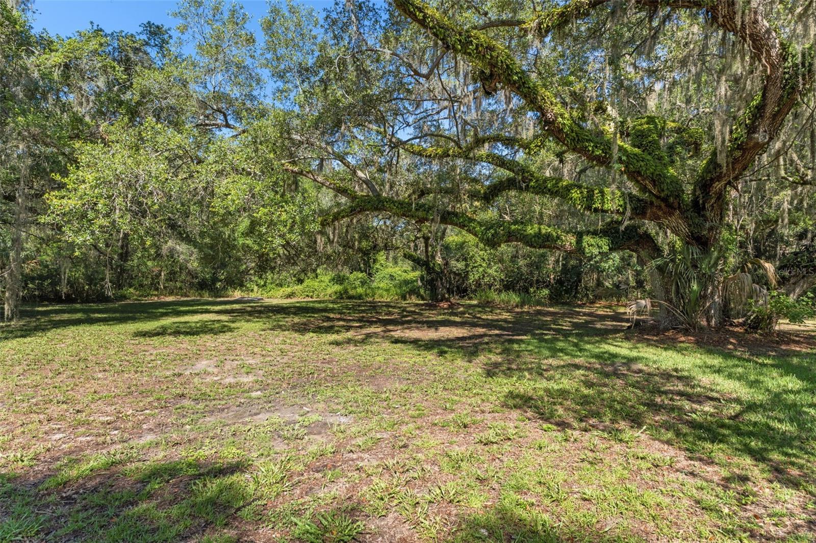 8668 N ELMTREE AVE, CRYSTAL RIVER, FL — photo 23