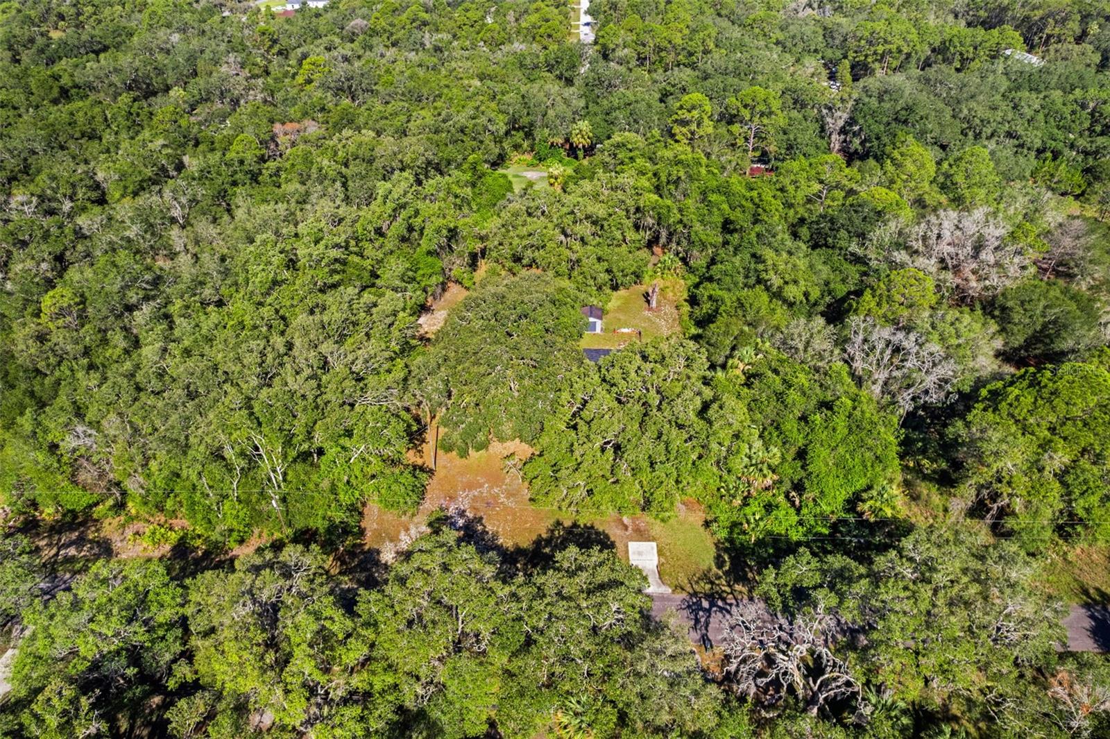 8668 N ELMTREE AVE, CRYSTAL RIVER, FL — photo 25