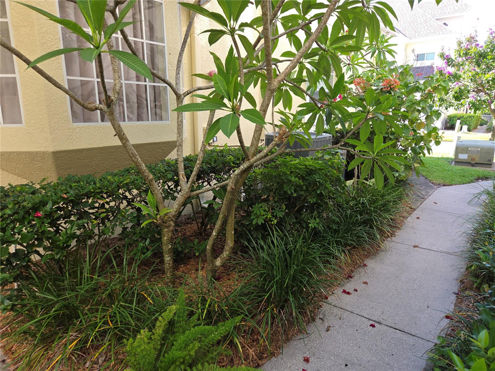 98 S HIGHLAND AVE #2002, TARPON SPRINGS, FL — photo 44