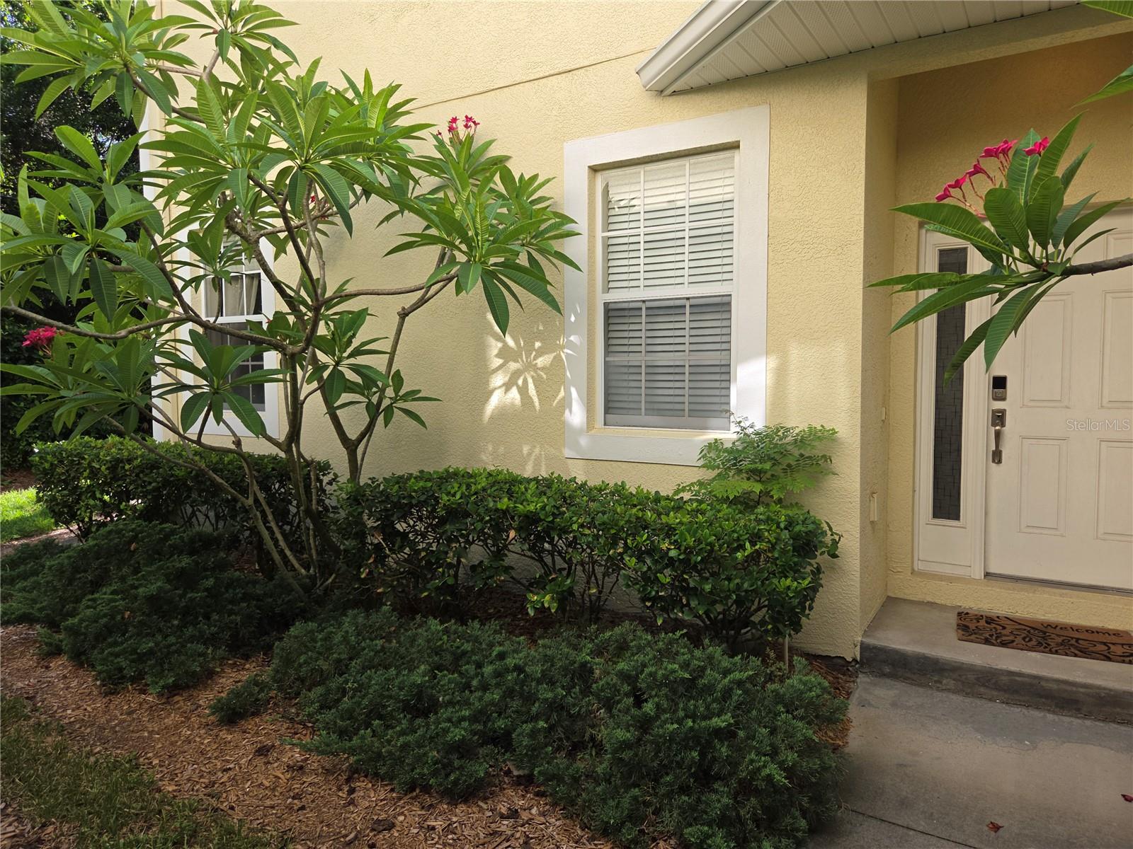 98 S HIGHLAND AVE #2002, TARPON SPRINGS, FL — photo 46