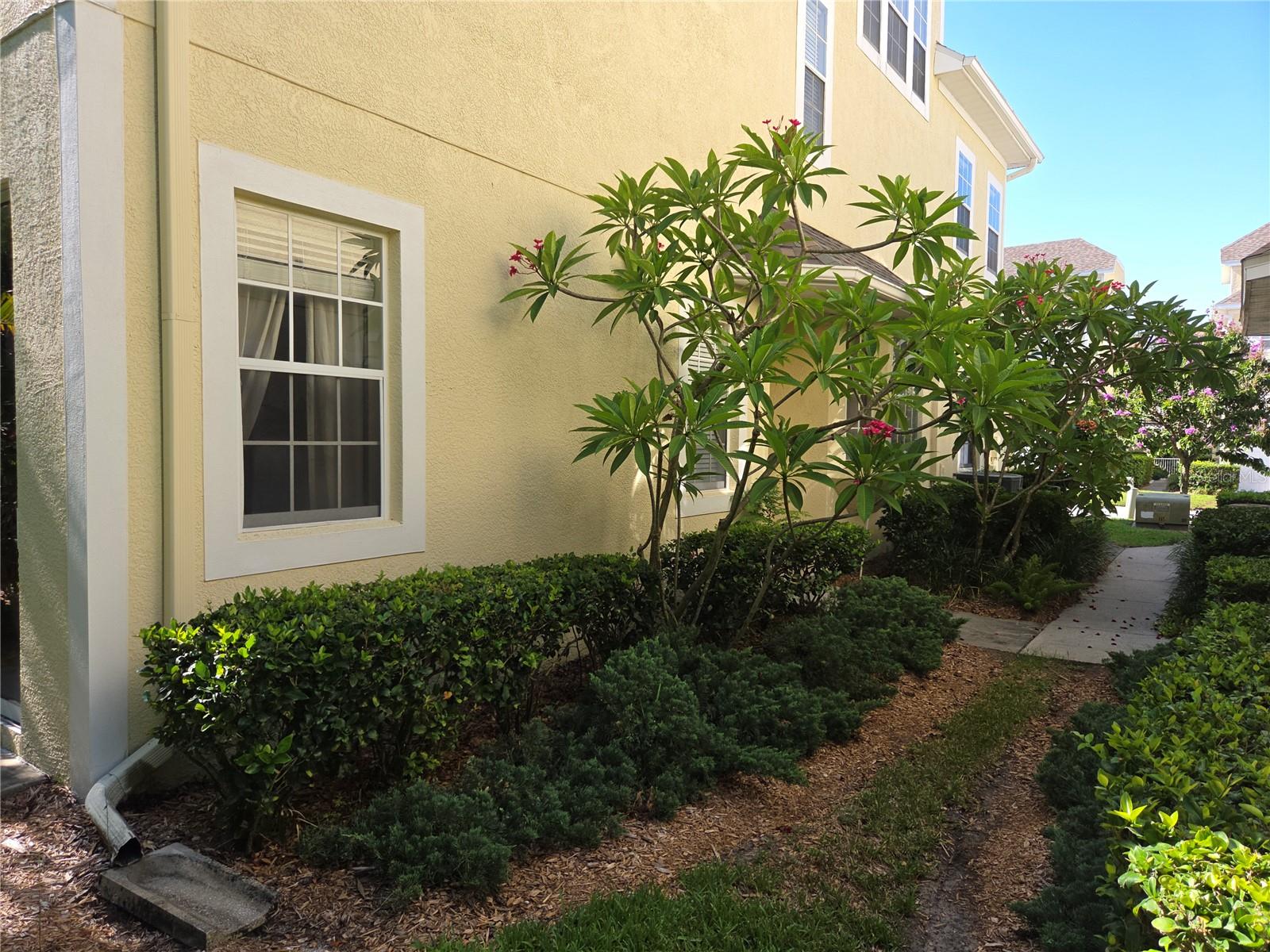 98 S HIGHLAND AVE #2002, TARPON SPRINGS, FL — photo 48