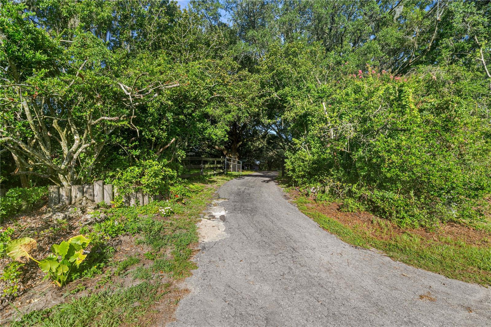 16250 SW 20TH AVENUE RD, OCALA, FL — photo 3