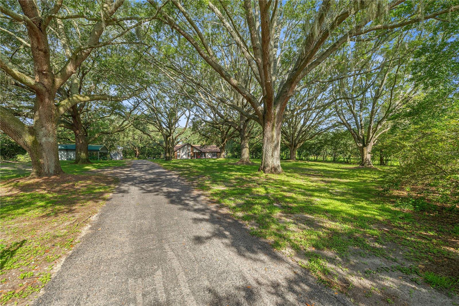 16250 SW 20TH AVENUE RD, OCALA, FL — photo 4
