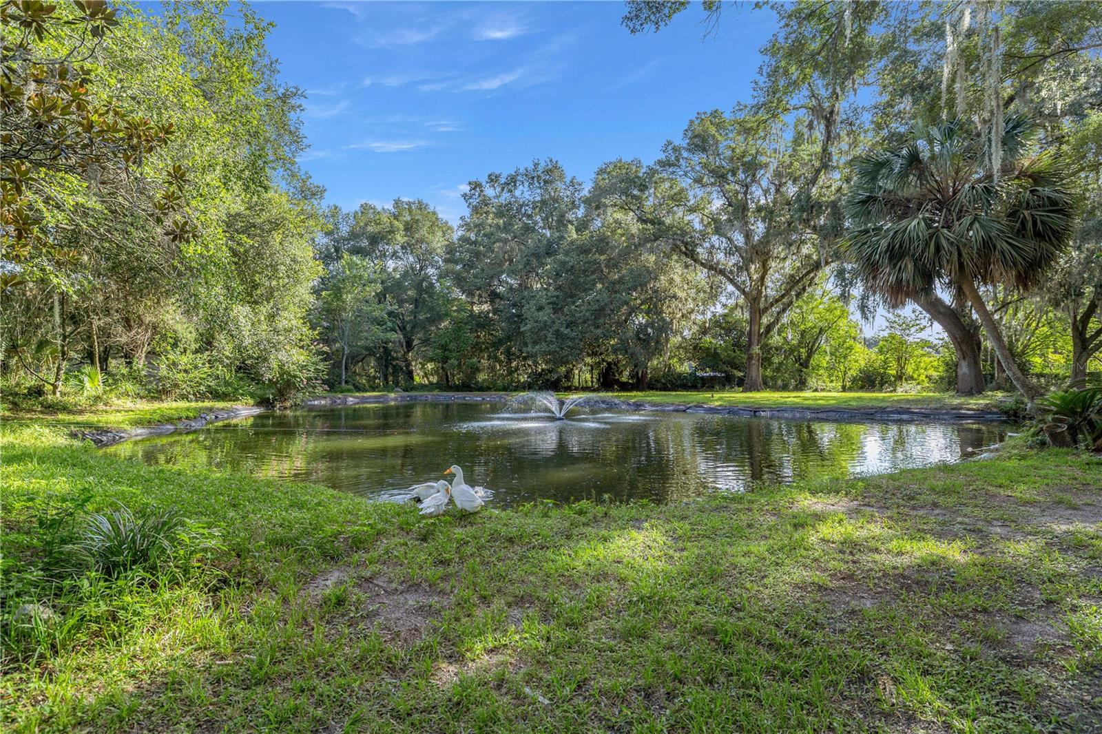 16250 SW 20TH AVENUE RD, OCALA, FL — photo 47