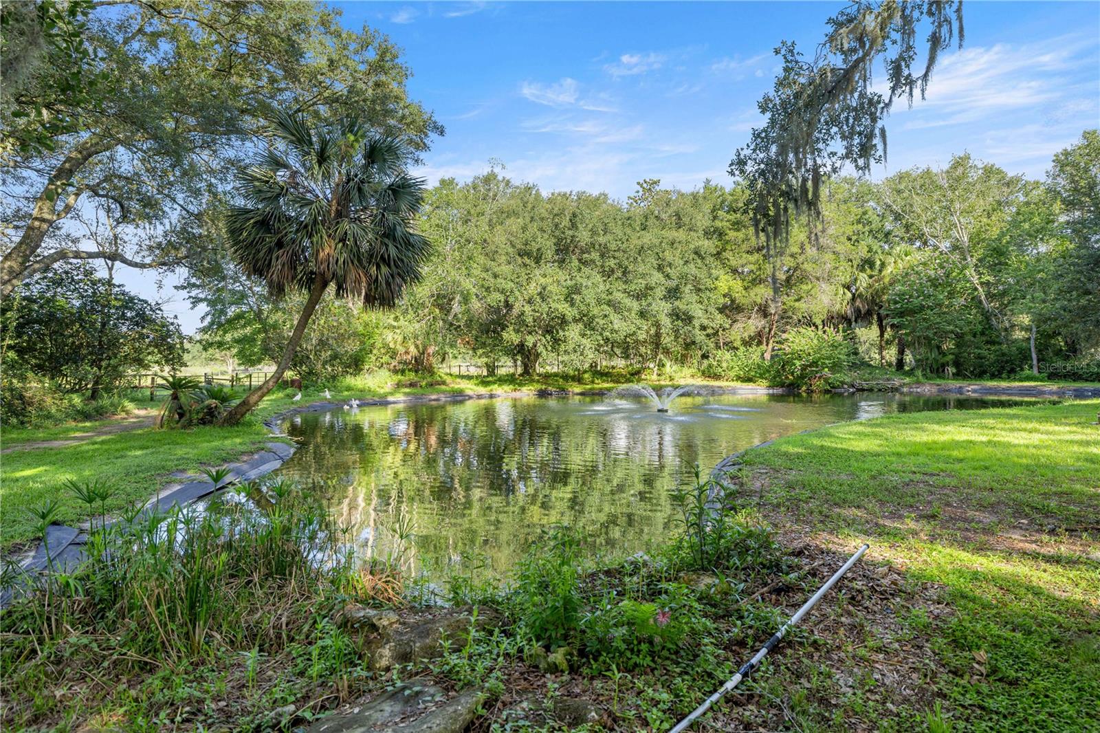 16250 SW 20TH AVENUE RD, OCALA, FL — photo 48