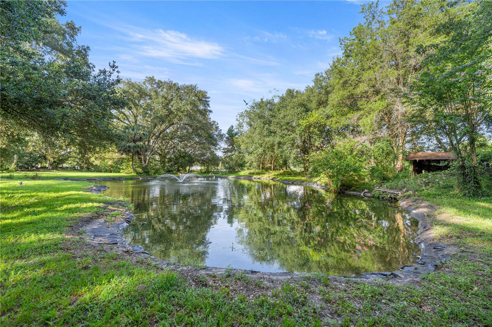 16250 SW 20TH AVENUE RD, OCALA, FL — photo 49