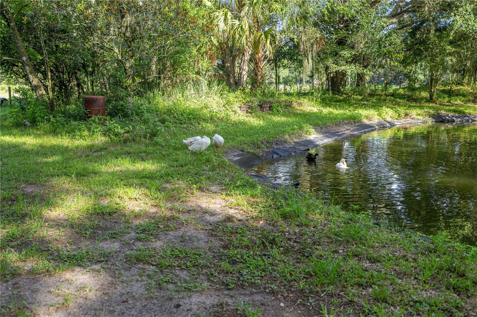 16250 SW 20TH AVENUE RD, OCALA, FL — photo 51