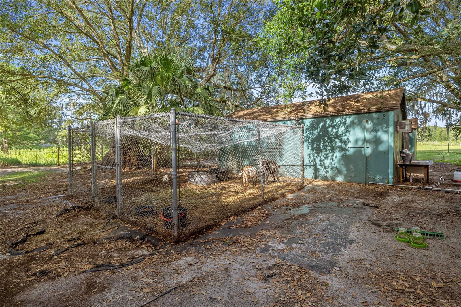 16250 SW 20TH AVENUE RD, OCALA, FL — photo 57