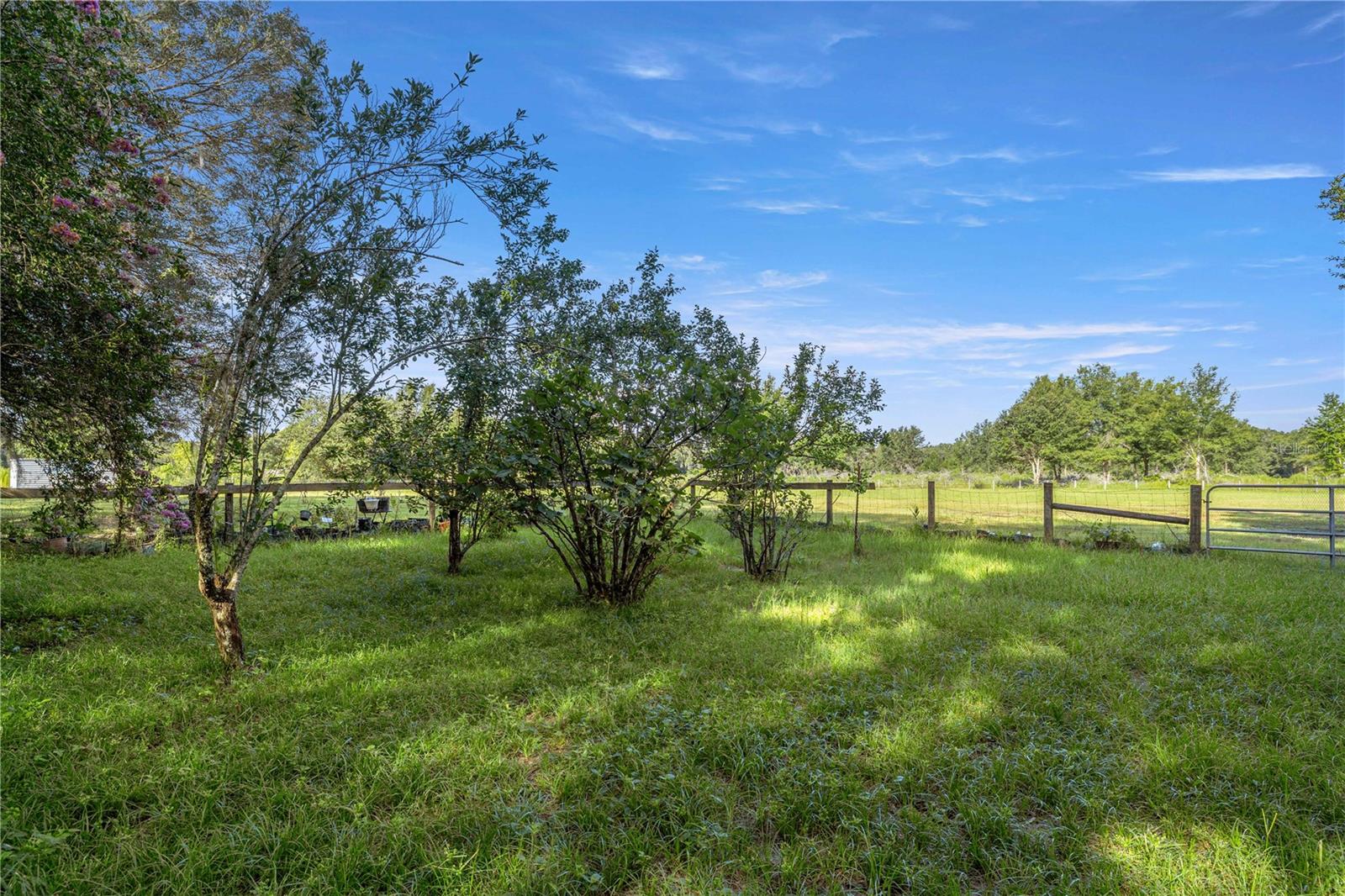 16250 SW 20TH AVENUE RD, OCALA, FL — photo 60