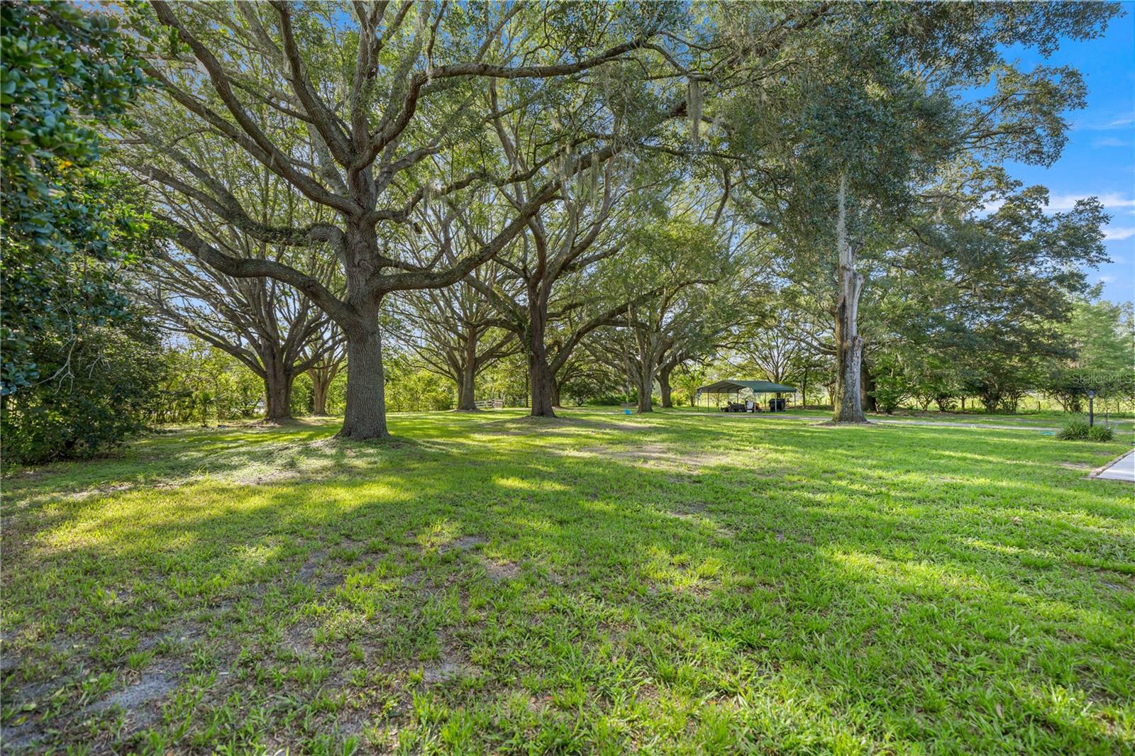 16250 SW 20TH AVENUE RD, OCALA, FL — photo 61
