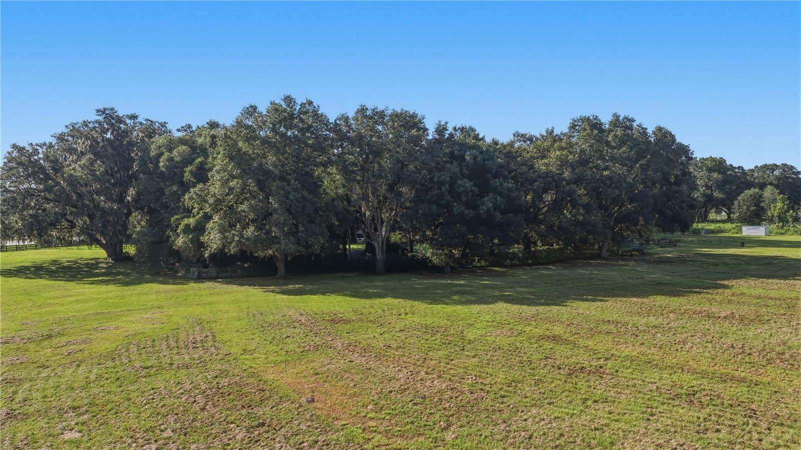 16250 SW 20TH AVENUE RD, OCALA, FL — photo 65