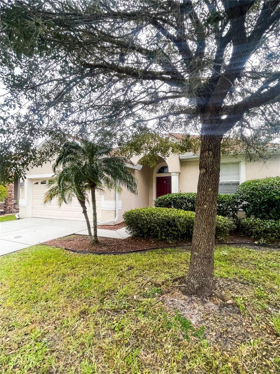 3922 WASHBURN PL, WESLEY CHAPEL, FL — photo 36