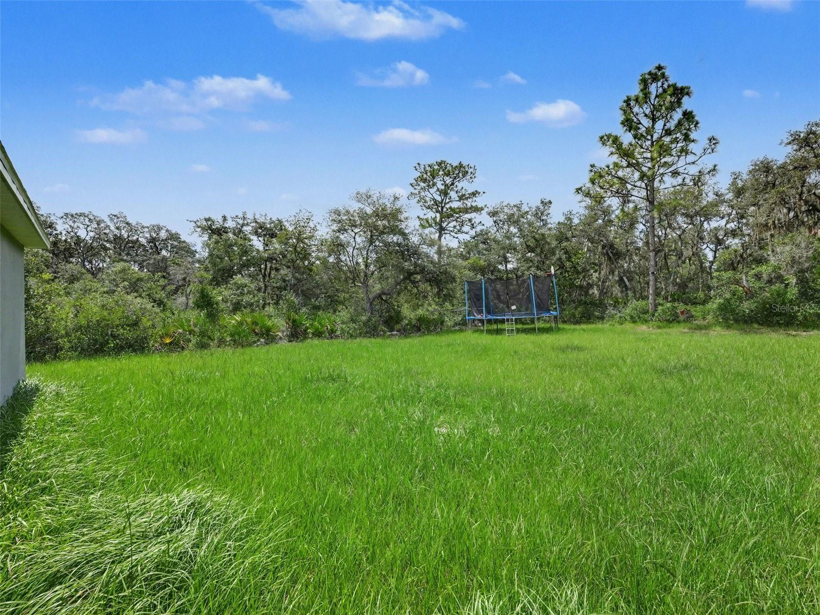 305 BOWFIN DR, KISSIMMEE, FL — photo 16
