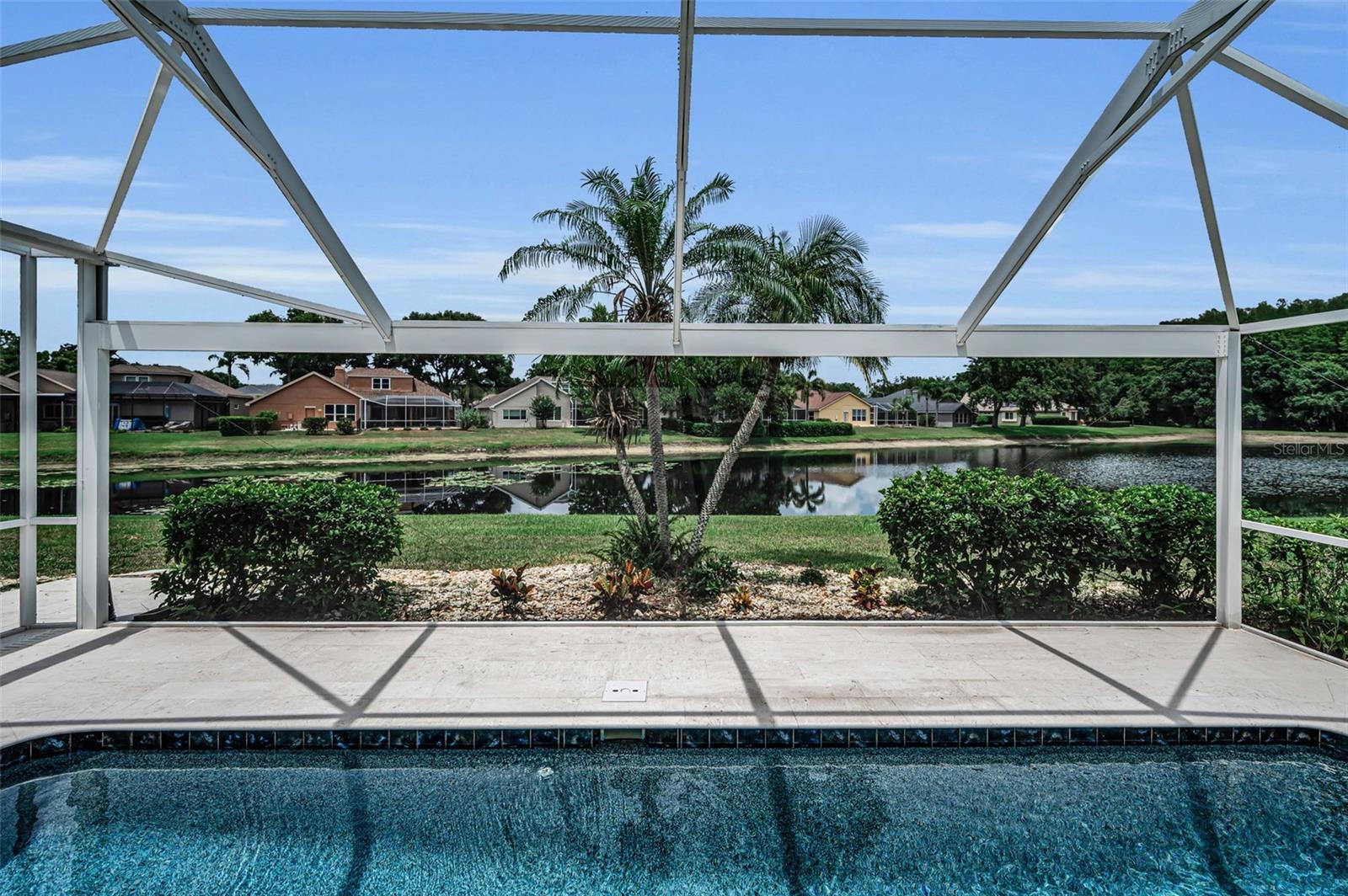 4084 LIGUSTRUM DR, PALM HARBOR, FL — photo 31