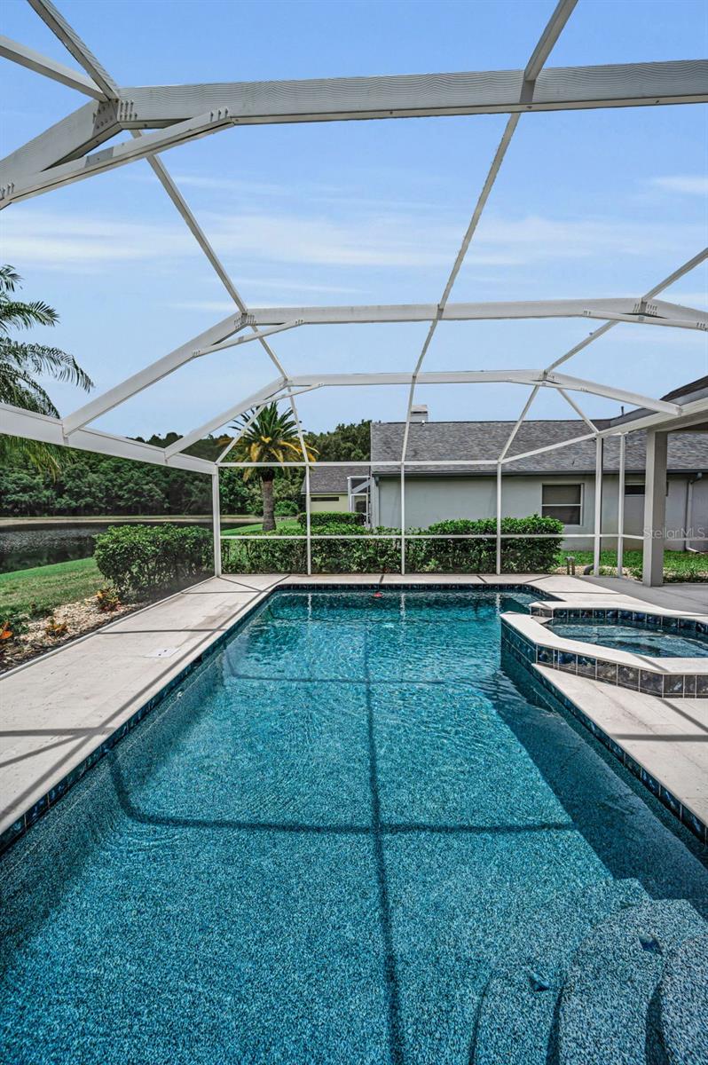 4084 LIGUSTRUM DR, PALM HARBOR, FL — photo 33